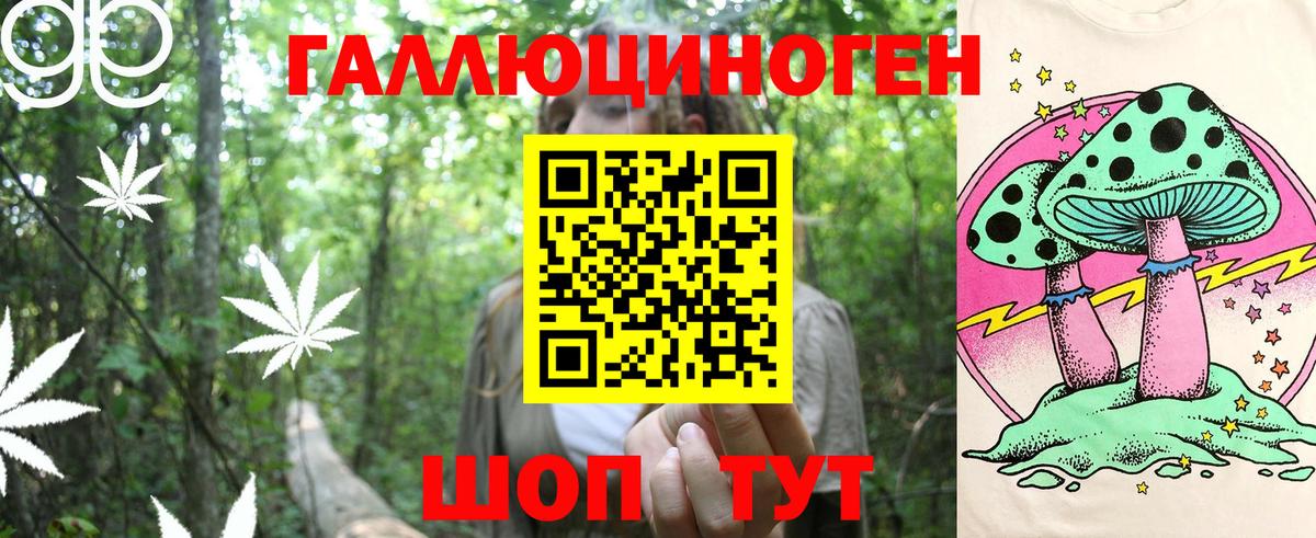 Краснознаменск  Псилоцибиновые грибы MAGIC MUSHROOMS  Вход с VPN 