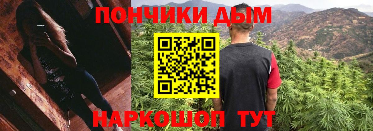 Канабис OG Kush Краснознаменск